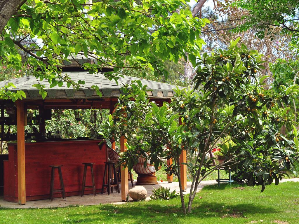 Hôtel Hobbit Evi à Çıralı Extérieur photo