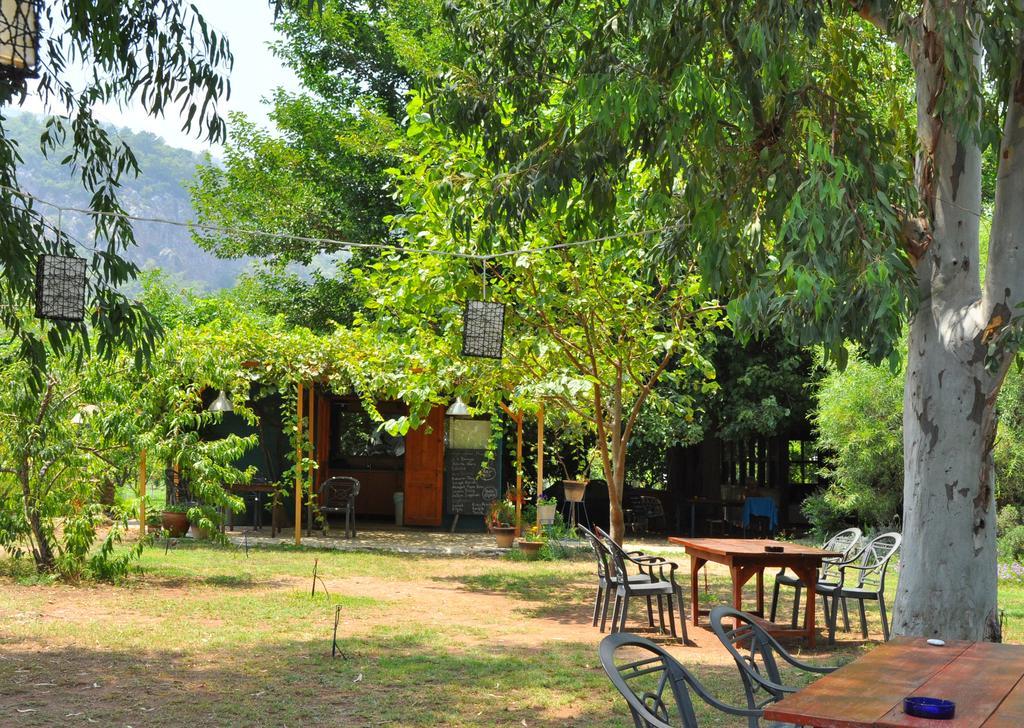 Hôtel Hobbit Evi à Çıralı Extérieur photo
