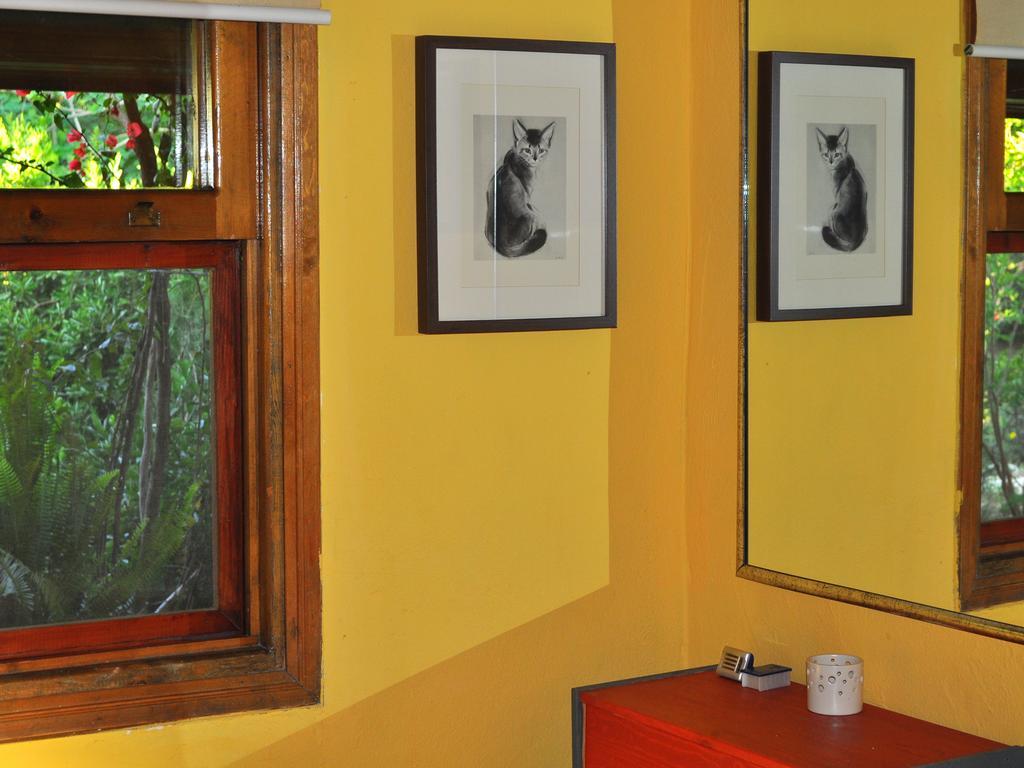 Hôtel Hobbit Evi à Çıralı Chambre photo