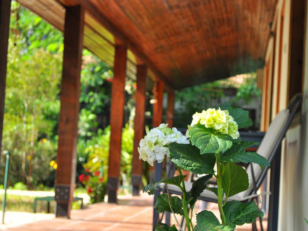 Hôtel Hobbit Evi à Çıralı Extérieur photo