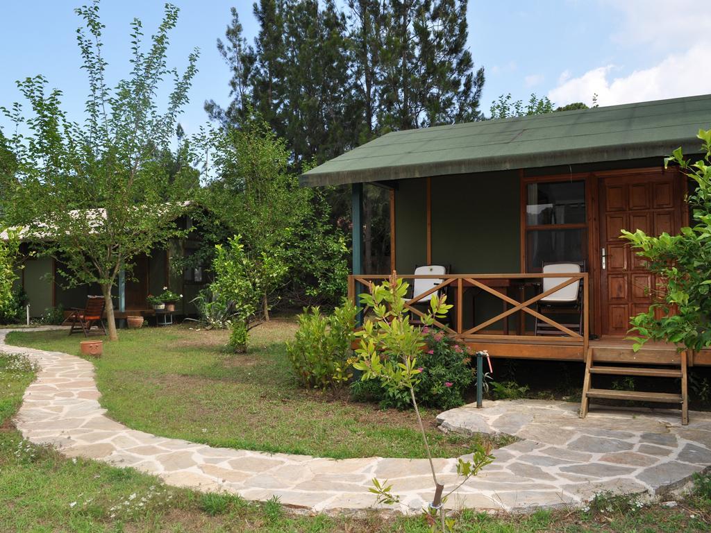 Hôtel Hobbit Evi à Çıralı Chambre photo